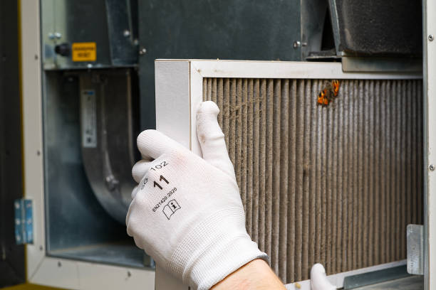 Best Duct Cleaning Specialists  in Christopher, IL