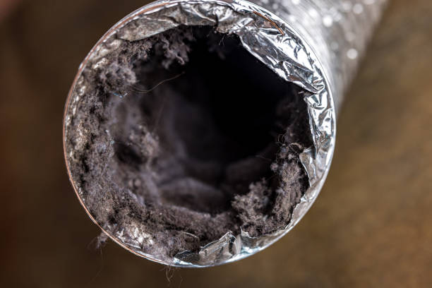 Best HVAC Duct Inspection Services  in Christopher, IL