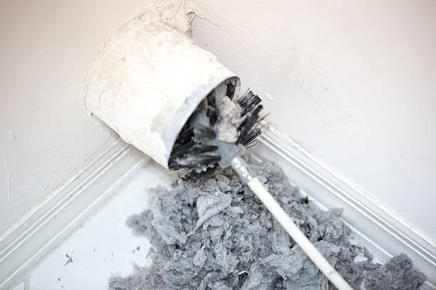 Best HVAC Duct Inspection Services  in Christopher, IL