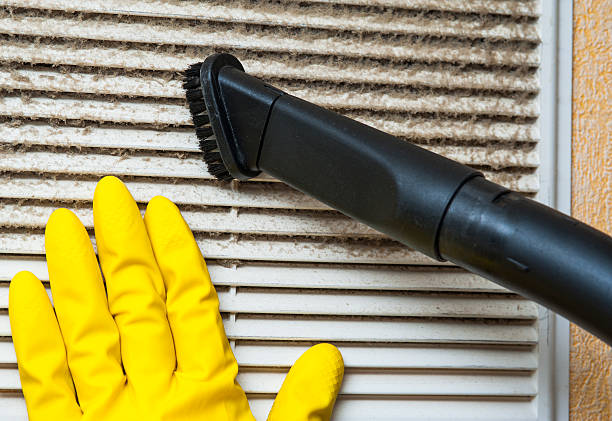 Best Dryer Vent Cleaning Services  in Christopher, IL